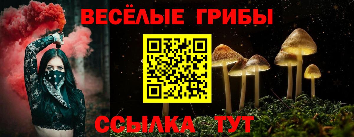 Псилоцибиновые грибы Psilocybine cubensis Калач-на-Дону