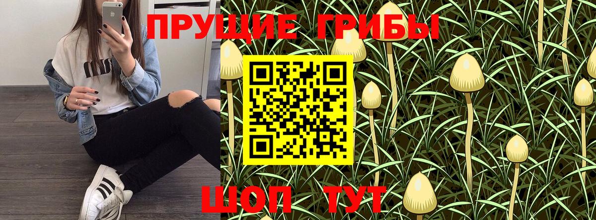 Калач-на-Дону  где купить   Галлюциногенные грибы Magic Shrooms  Вход с VPN  Галлюциногенные грибы MAGIC MUSHROOMS 